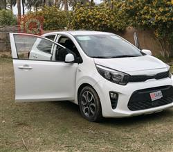 كيا بيكانتو